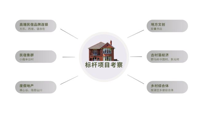 杏彩体育电视必备酒店案例国内酒店案例分析浙江高端“民宿+X”度假综合体与乡建设计